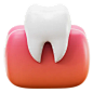 Molar Tooth  3D Icon