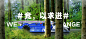 @米其林Michelin 的个人主页 - 微博