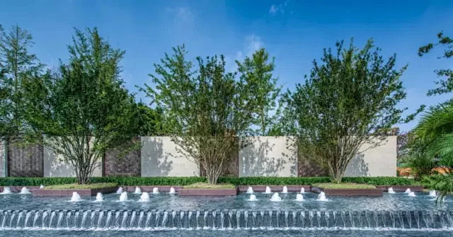 紫薇幼苗怎样养成丛生紫薇