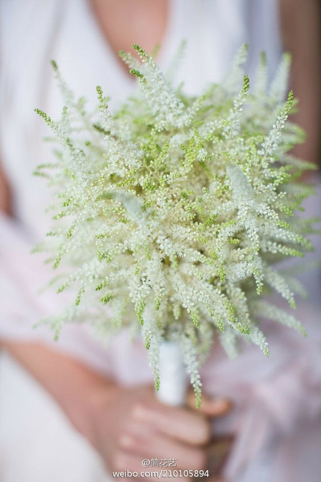 落新妇（ChineseAstilbe），...