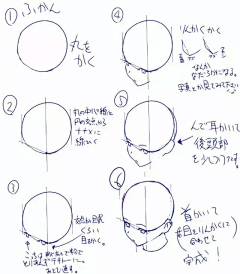 Dr悠然采集到头部