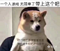 路口有个树洞－在这里畅所欲言－路口网