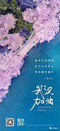 【疫情专题】线上疫情加油篇！ : 欢迎投稿！