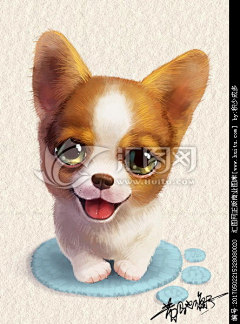 小圆猫~~~~采集到动物