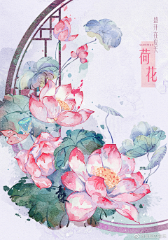 安莫安安采集到喜欢的绘画花