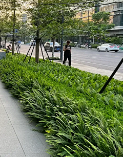 1zpuJLtk采集到花镜
