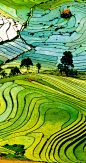 Beautiful landscape about terraced rice field in Laocai province, Vietnam     |    17 Unbelivably Photos Of Rice Fields. Stunning No. #15