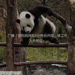 Jared-Yu采集到funny
