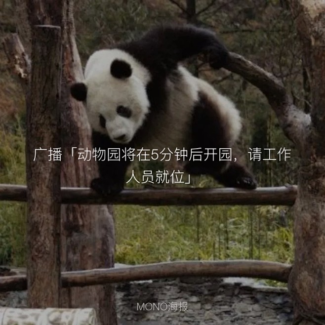 你不是不想返工吗，怎么这么积极
