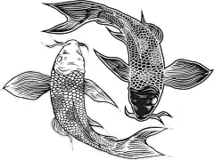 矢量中国风手绘锦鲤插画图案日式古风青花鲤鱼传统底纹印花AI素材