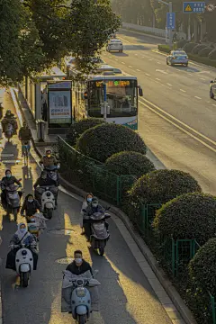 麻雀壁纸的微博_微博