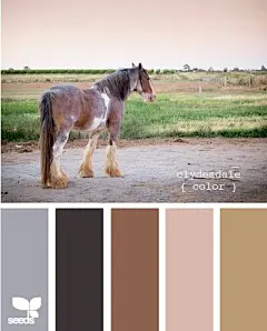 配色 - 堆糖，美图壁纸兴趣社区:图片下载,手机壁纸,表情包,高清壁纸,情侣头像