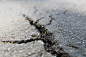 a crack in the asphalt of a road