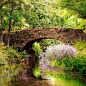 古桥，南威尔士
Ancient Bridge, South Wales