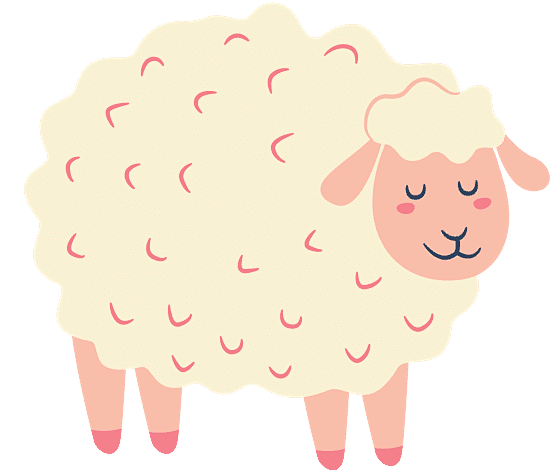 Farm Animal Sheep