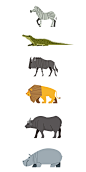 Wild animals of Africa on Behance