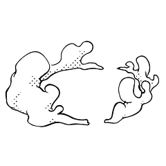 Riv-r采集到效果