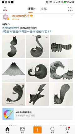 筱颂子采集到小狗素材