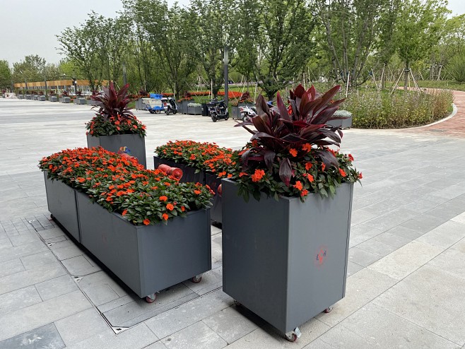 花博会花箱
