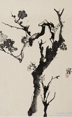 明 徐渭 《杂花图》② 】紫藤如蛇的老干泼辣粗放,"一扫槎枒三丈绢