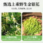 九斋堂金银花露凉茶饮料儿童清凉降暑整箱24瓶清火饮料水官方正品-tmall.com天猫