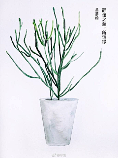 ooooooo·采集到文艺植物插画