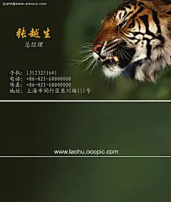 老虎图案名片模板PSD分层素材|老虎|名片模板|名片设计|名片设计模板|正反面|名片设计　名片模板|名片设计　名片设计|名片　名片设计|名片设计　名片