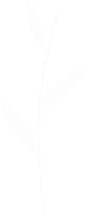 卡通可爱动物手绘植物花卉儿童印花海报图案免抠PNG图案素材合集 (19)