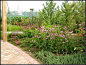 100808-12.jpg