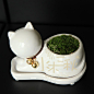 森林精灵之猫 水木三秋 创意 桌面 植物 绿植 苔藓微景观 小品-淘宝网