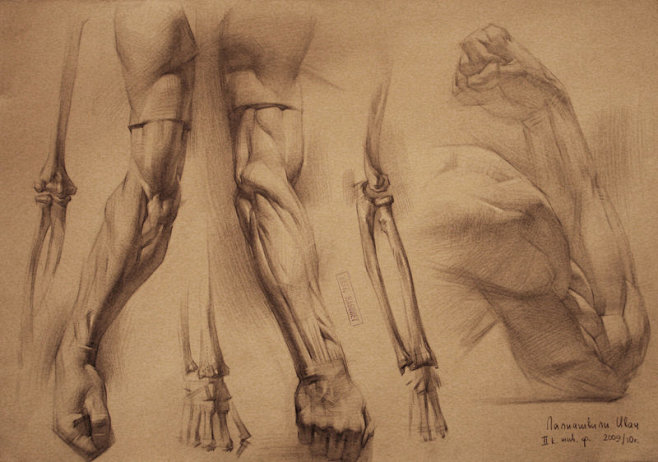 human anatomy 6 by ~...