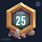 Level