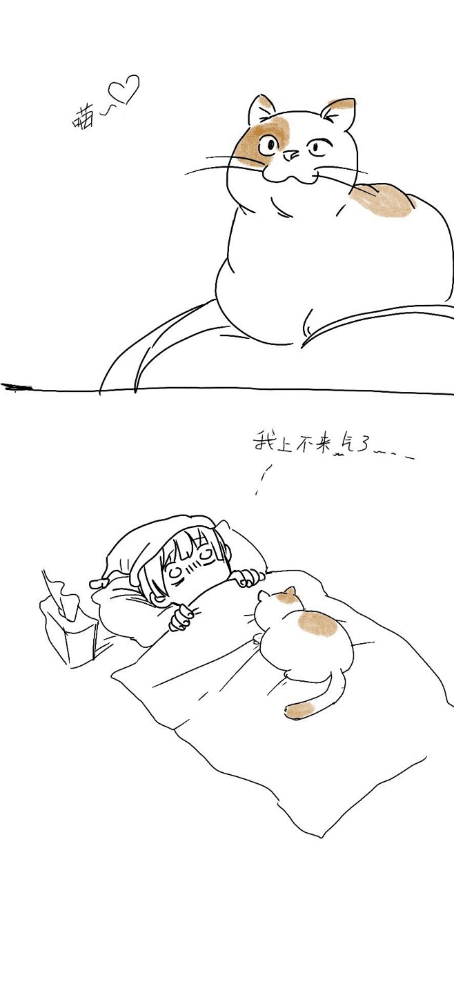 佛爷这颜色一看就是橘的。
每天早上不可承...