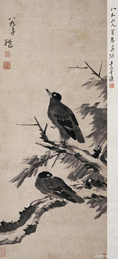 com采集田野上的猪采集到朱耷清 八大山人《孤禽图》--- 朱耷常借画