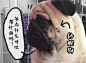 呵，秒醒
