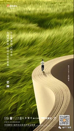 xiao小小纪采集到芒种节气