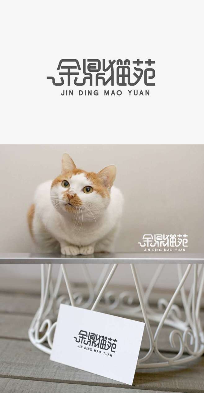 字体logo，字体标识，金鼎猫院，宠物猫...