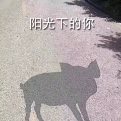咋回事呀小老弟采集到表情包