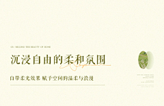 vuel采集到排版