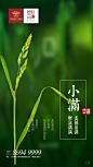 小满 节气