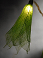 Leaf Flower String Lights Green 8ft叶花灯设计 生活圈 展示 设计时代网-Powered by thinkdo3