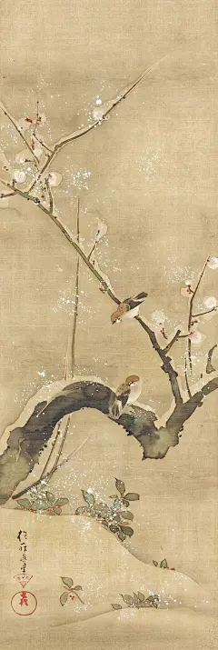 采集图片