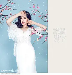 黄奇敏作品《今日立春，献上一篇《踏雪寻梅》》