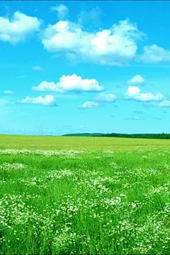 春意盎然的绿色高清风景iPhone壁纸下载