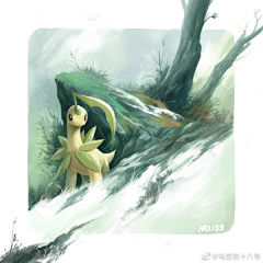 海獭采集到配件