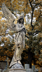 Angel by past1978 - One of the many tombstones in the Slavin cemetery of Prague: 