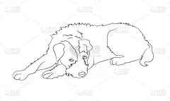 狗,撒谎者,成一排,可爱的,纯种犬,直的,肖像,自然美,动物,复古