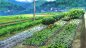 Anime 1920x1080 Non Non Biyori landscape