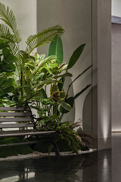 sing1采集到植物场景