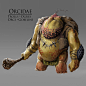 Orcidae, Romain Kurdi : The Orcidae genus is comprised of an astonishing variety of creatures. Some of them, like Trolls, are some of the most anciens species to roam the lands, whereas Orcs appeared fairly recently. Naturalists believe Trolls used to be 
